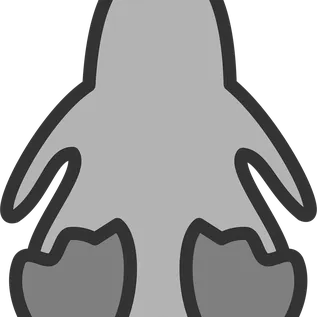 No DP Images