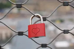 no-love-no-dp-only-fuckforget-immage-