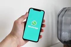 no-love-no-pain-for-whatsapp-dp