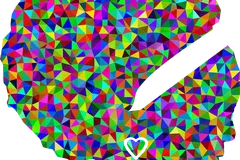 No-DP40
