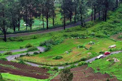 ooty-coolest-places ooty-coolest-places