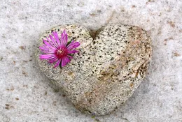 Love-hate-images48