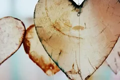 love-Hate-pictures22