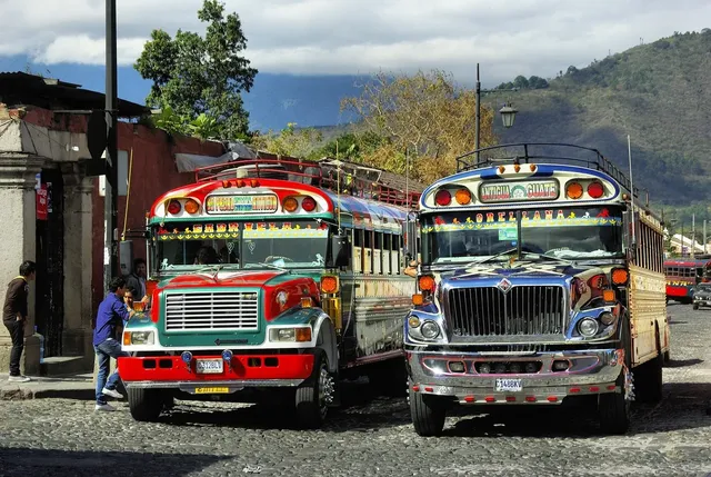 bus skin for bus simulator indonesia