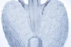 girl-wedding-dp