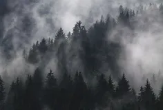 girl-alone-in-forest
