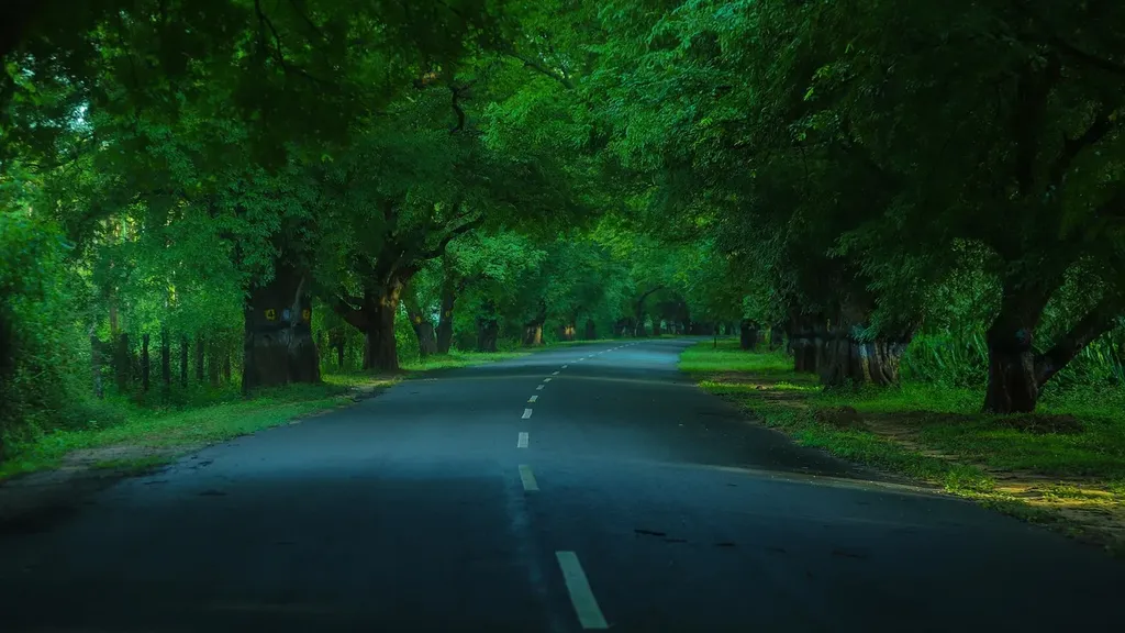 pariyerum-perumal