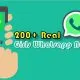 Real girls whatsapp number list