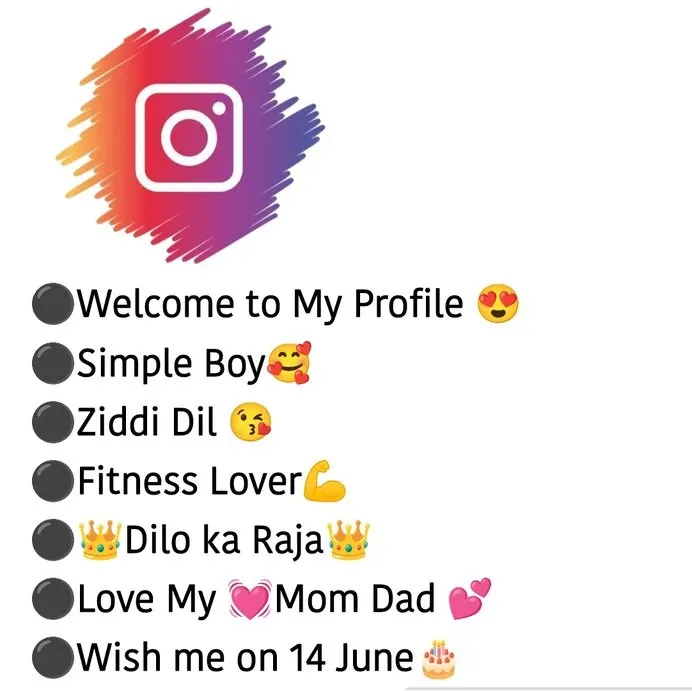 instagram bio new style